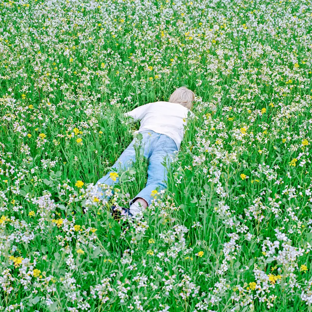 Nurture album cover